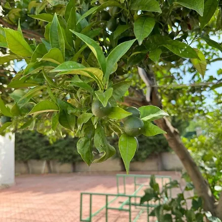 Violeta 2 Ferienhaus