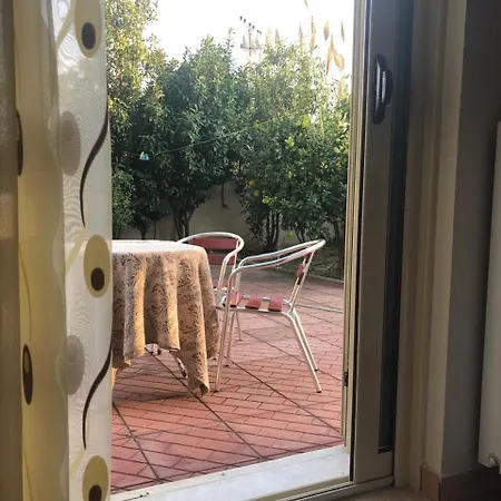 Violeta 2 Vlorë