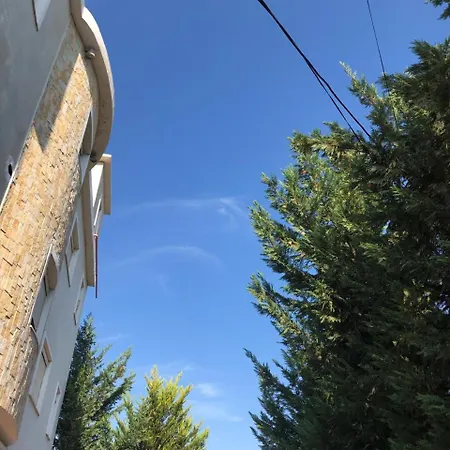 Violeta 2 Ferienhaus *