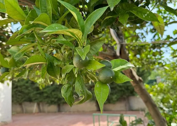 Violeta 2 Holiday home